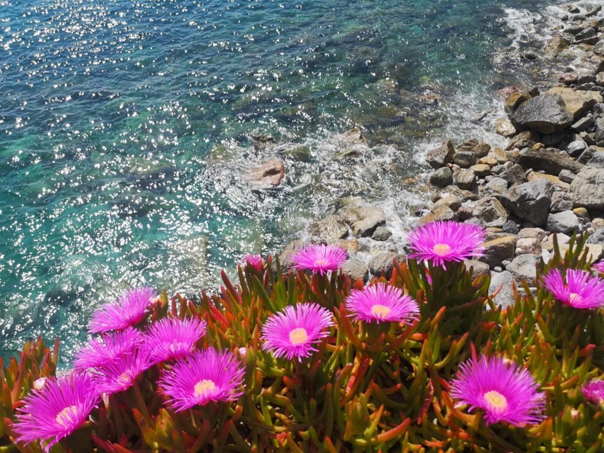 Pink House Garden Hotell Monterosso al Mare Eksteriør bilde