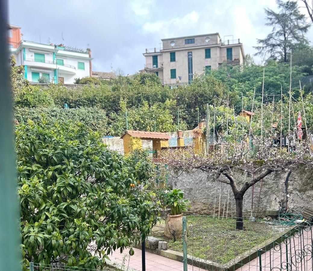 Pink House Garden Hotell Monterosso al Mare Eksteriør bilde